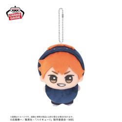 【日向翔陽】ハイキュー!! ちびぐるみ〜アニマルポンチョ〜vol.1