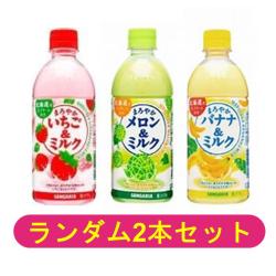 【ランダム2本セット】サンガリアまろやかミルク3種【2026/11/30】