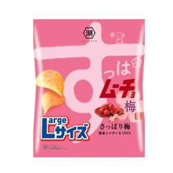 【すっぱムーチョ】コイケヤポテトチップスLサイズ【2027/01/31】