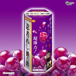 忍者めし 鉄の鎧六角BOX【2027/04/30】