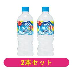 【2本セット】サントリー天然水 うめソルティ(冷凍兼用)540ml【2027/04/30】